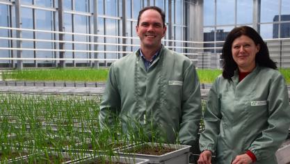 Steven Vandenabeele en Isabel Vercauteren zijn de roergangers bij Aphea.Bio,  een jonge agrobiotech startup uit het Gentse.