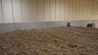 B9714140272Z.1_20171215093243_000+G0OABGIGS.1-0