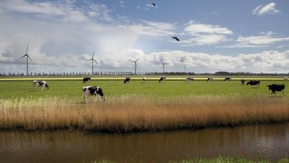 FrieslandCampina verlaagt de melkprijs.