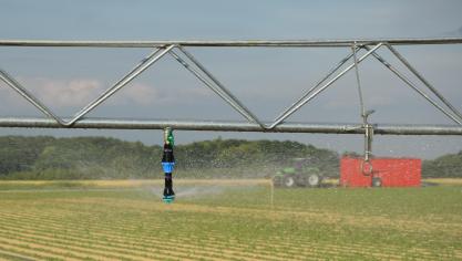 Bayer en Monsanto zijn samen enorm sterk in gewasbescherming en zaadveredeling.