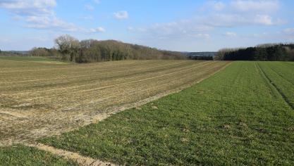 Hoe hoger de reststikstof die de vorige teelt achterlaat in de bodem,  des te hoger de potentiële bodemvoorraad in het voorjaar.