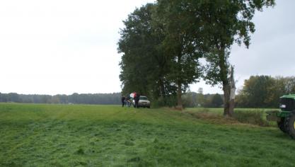Ook bomenrijen langs bouwland kunnen vanaf 2018 door de landbouwer aangegeven worden als EAG.
