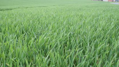 Sinds 2017 moeten landbouwers een reden opgeven voor het schrappen van percelen uit hun verzamelaanvraag. Vanaf 2018 wordt extra  informatie opgevraagd.