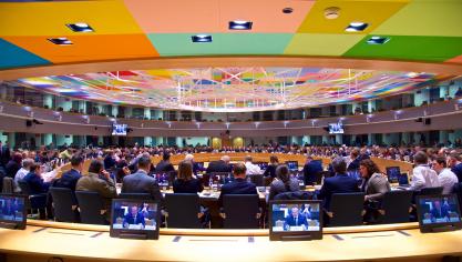 23 van de 28 lidstaten schaarden zich achter de intentietekst van voorzitter Porodzanov.