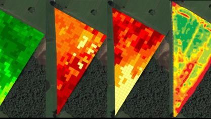 Figuur 1: Organisch koolstofgehalte (%), zuurtegraad (pH), geleidbaarheid (EC) en opbrengst van de hakselmaïs  (DS, ton/ha) in kaart gebracht voor het perceel in Brecht.