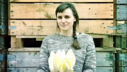 Klaartje Bunkens van de Nationale Proeftuin voor Witloof in Herent determineert en telt witloofmineervliegen.