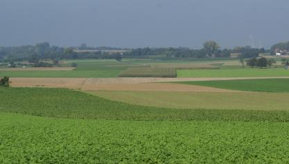 De nieuwe erfrechtelijke regels zullen van toepassing zijn op alle nalatenschappen die openvallen vanaf 1 september 2018.