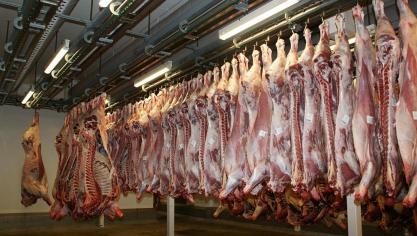 Het runderslachthuis in Heist-op-den-Berg ligt al jaren in de clinch met het FAVV.