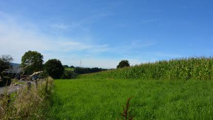 Onder de risicobeperkende maatregelen hoort onder meer de invoering van een grasstrook naast maïs dat behandeld is met terbutylazine. Doelstelling is de bescherming van de oppervlaktewateren.