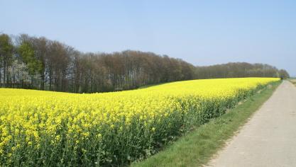 Volgens FIAN is de agrarische grondmarkt te weinig doorzichtig.