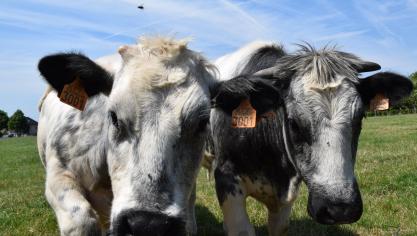 Boeren houden van hun werk, maar zijn bezorgd over hun inkomen.