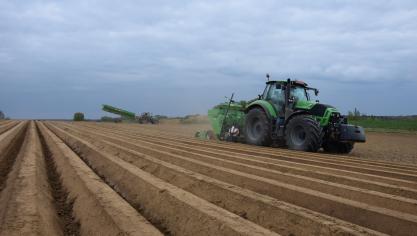 Bij het poten moet steeds worden gelet op de juiste plantdiepte.