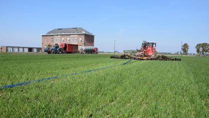 De sleepslangtrike laat nauwelijks sporen achter in de jonge tarwe. Op de achtergrond de pompwagen en de  vrachtwagen die de mest komt brengen.