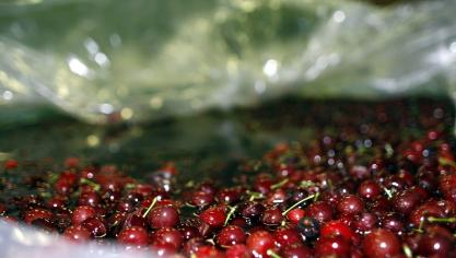 belgaimage-9755373-full