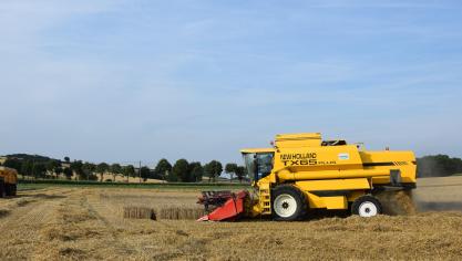 Op internationale termijnmarkten wordt graan beter betaald, in de 
verwachting dat oogsten op diverse plaatsen tegen zullen vallen.