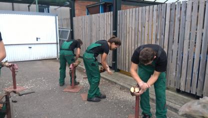 Leerlingen oefenen het verzorgen van klauwen eerst op dode klauwen.