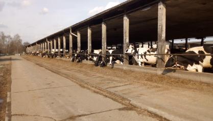 Sobere stallen in Oost-Duitsland.