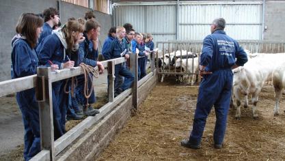 Op de Broederschool staat de praktijk voorop.