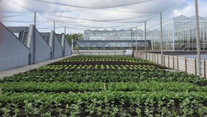 belgaimage-135168351-full