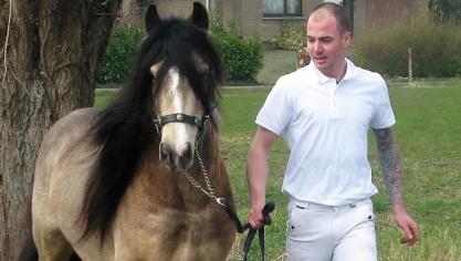 Goedgekeurde valkkleurige hengst Daragh van Gipsy Spirit. Eig.: Felicia Gafcia, Herderwijk (Nl).