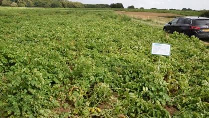 Er zijn oplossingen na het wegvallen van linuron.