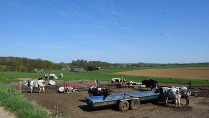 Een dergelijk hoge gemiddelde minimumtemperatuur kunnen we normaal maar één keer om de dertig jaar verwachten.
