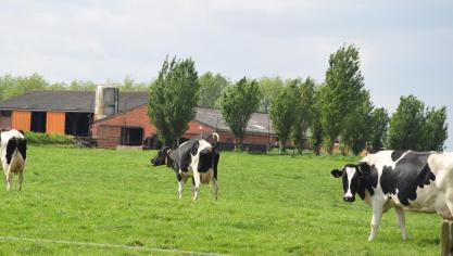 Andere melkerijen betaalden in maart minder dan FrieslandCampina had verwacht.