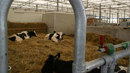 Met name de stemming van melkveehouders is gezakt.