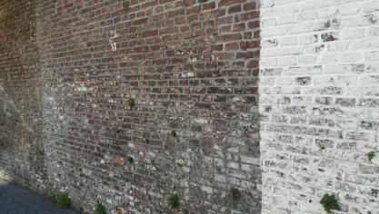 Wie moet de herstelwerken aan een gemeenschappelijke muur betalen?