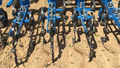 Schoffelen kan helpen bij moeilijk te bestrijden onkruiden.