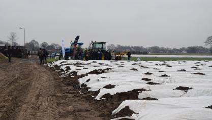 In het kader van het  Groente- innovatiefonds werden  verschillende projecten rond asperges uitgevoerd.