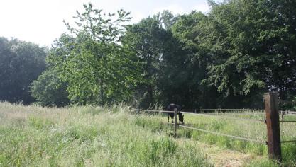 Een deel van de weide om te hooien, een tweede deel om te grazen.