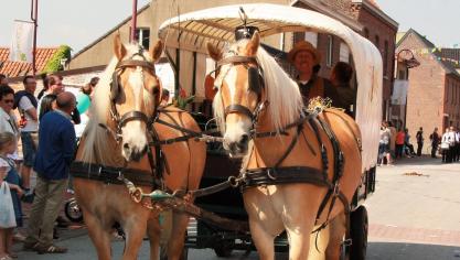Menner Bruno Ronsijn uit Voorde de Haflingers Allona en Ronia voor de huifwagen.