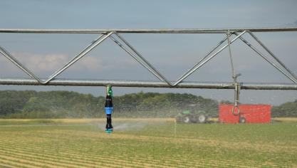 Monsanto en Bayer krijgen samen een sterkere positie op de markt voor fytoproducten en zaden.