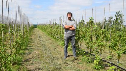 Wim Vandenberghe runt zijn
biologisch kleinfruitbedrijf 
Frambiosa y Besos.