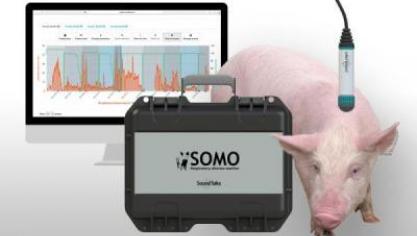 SoundTalks registreert stalgeluiden. Wanneer het systeem ziekte vermoedt, slaat het alarm.
