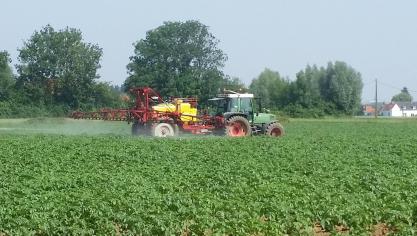 De aardappelvelden nauw opvolgen voor de plaagbestrijding is nu zeker nodig.