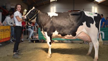 Minette de Bois Seigneur  (v. Bertaiolo Mincio), kampioen koe beste uier. Eig.: Cocquyt B.,  Zwevezele.