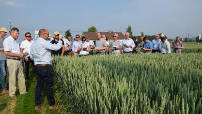 Ignace Ghekiere gaf meer uitleg bij de wintertarwerassen.