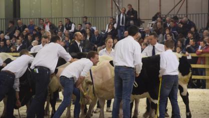 Ook voor de komende editie(s) lijkt de aanwezigheid van dieren op de beurs gegarandeerd.