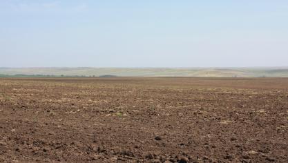 De Russische graanoogst lijkt dit jaar tegen te vallen vanwege extreme droogte.