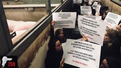 269 Libération Animale