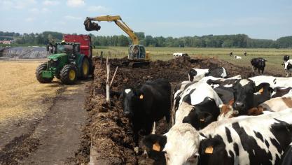 IMG_20180705_131447455