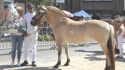 Melinka van de Caesaarshoeve, best getoiletteerde Fjord. Eig.: Danny Vermoote uit Koksijde.