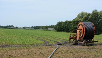 Er is in West-Vlaanderen een sterke concentratie van waterbehoeftige aardappel- en groenteteelt.