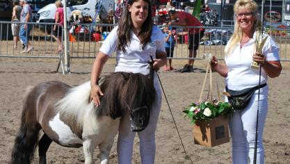 Cartouche van het Druivenhof, dagkampioen bonte hengsten. Eig.: Linda Schaus uit Waimes.
