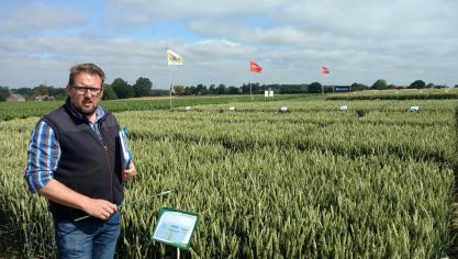 In granen zet Bayer sterk in op de onkruid- en ziektebestrijding.