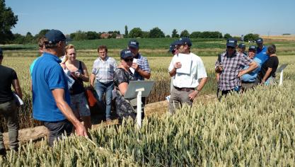 Yves Decroos, technisch voorlichter bij BASF, leidt geïnteresseerden rond op het proefplatform van BASF.