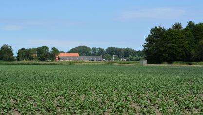 Schauvliege wil met de ‘betonstop’ ervoor zorgen dat voldoende open ruimte voor landbouw, natuur en recreatie over blijft.