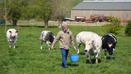 Wervel en Boerenforum willen collectieve prijsonderhandelingen opdat boeren een beter inkomen krijgen.